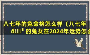 八七年的兔命格怎么样（八七年 🌳 的兔女在2024年运势怎么样）